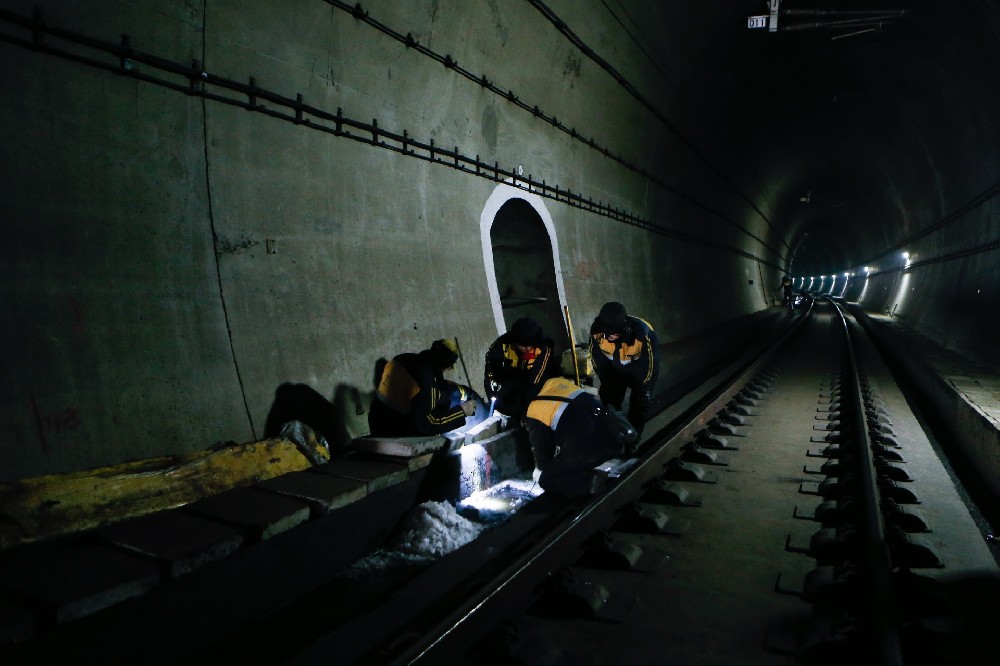 赵西垸林场铁路运营隧道病害现状